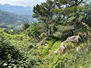 %_tempFileNameSicilie10-Monte%20Rotondo-46-1%