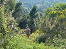 %_tempFileNameSicilie10-Monte%20Rotondo-48-1%