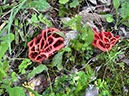 %_tempFileNameSicilie10-Monte%20Rotondo-50-1%