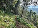 %_tempFileNameSicilie10-Monte%20Rotondo-52-1%