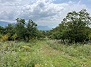%_tempFileNameSicilie11-Boso%20Ficuzza%20Nord-04%