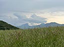 %_tempFileNameSicilie11-Boso%20Ficuzza%20Nord-13%