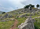 %_tempFileNameSicilie15-Orecchiuta-25%