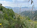%_tempFileNameSicilie15-Orecchiuta-38%