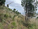 %_tempFileNamesicilie05-Monte%20Catalfano-03%