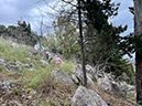 %_tempFileNameSicilie07-Monte%20Pellegrino-43%