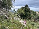 %_tempFileNameSicilie07-Monte%20Pellegrino-53%
