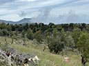 %_tempFileNameSicilie07-Monte%20Pellegrino-56%
