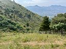 %_tempFileNameSicilie15-Orecchiuta-22%