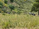 %_tempFileNameSicilie15-Orecchiuta-23%