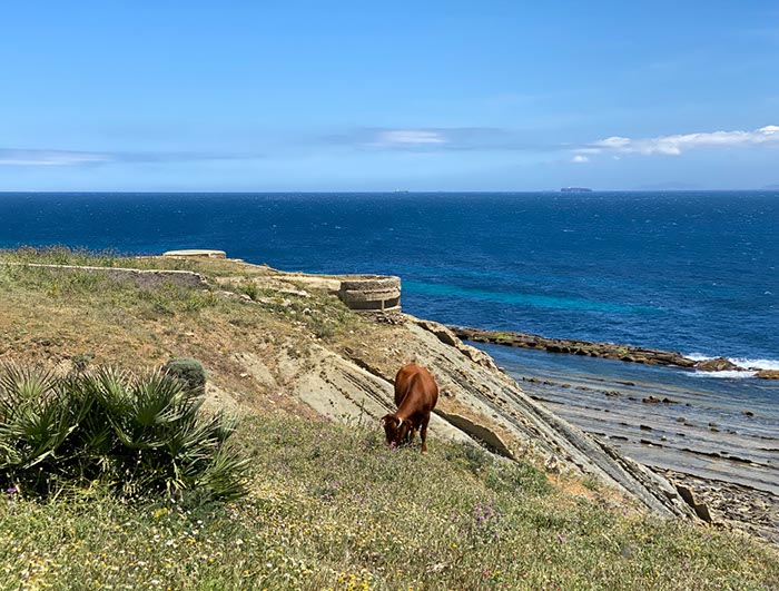 %_tempFileNameTarifa08-Tarifa%20oost-27%