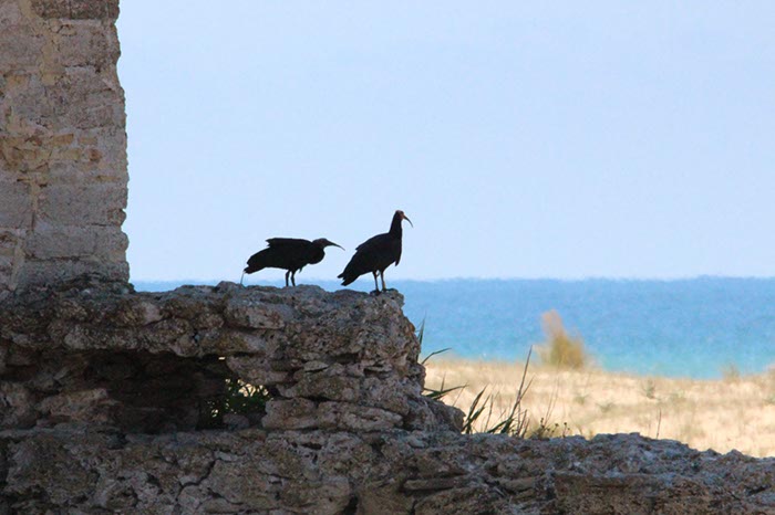 %_tempFileNameTarifa15-Conil%20wandeling-15%