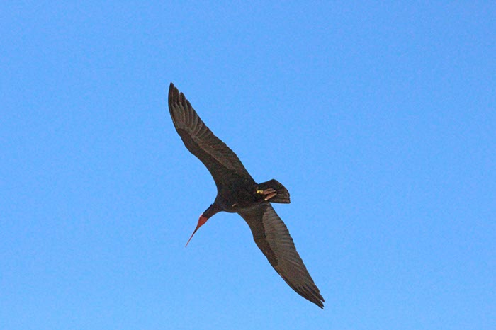 %_tempFileNameTarifa15-Conil%20wandeling-26%
