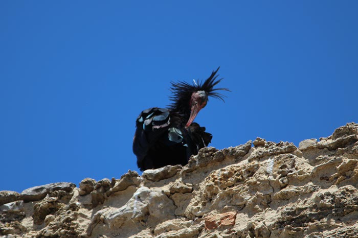 %_tempFileNameTarifa15-Conil%20wandeling-30%