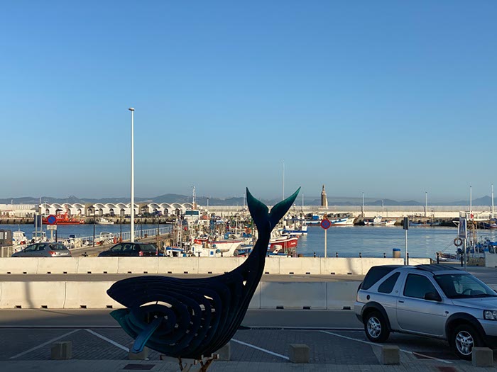 %_tempFileNameTarifa15-Conil%20wandeling-48%