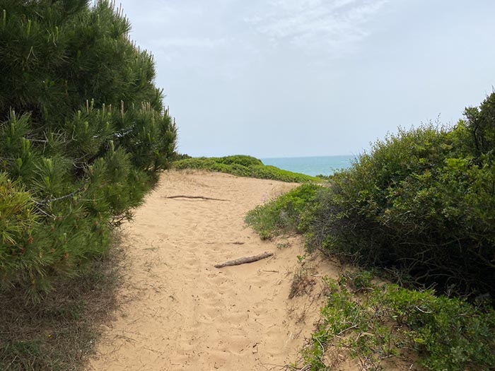 Tarifa04-Los Caños de Meca-08