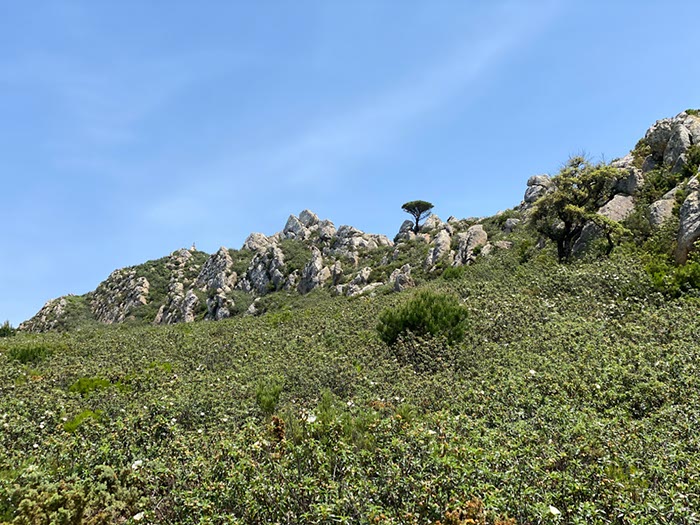 %_tempFileNameTarifa03-Sierra%20de%20Enmedio-20%