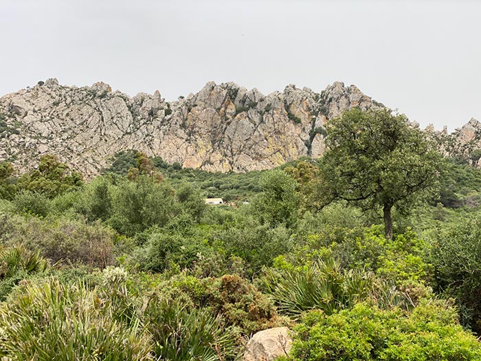 %_tempFileNameTarifa05-Los%20Algarbes-11%