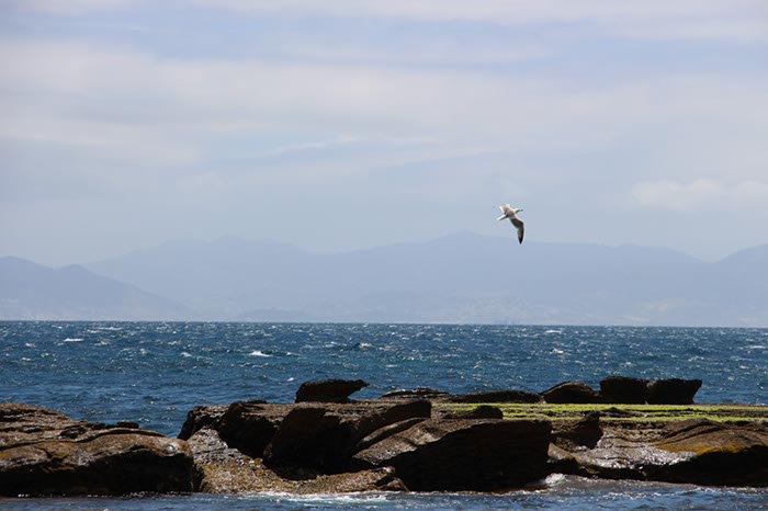 %_tempFileNameTarifa08-Tarifa%20oost-21%