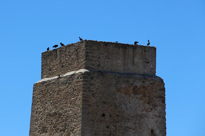 %_tempFileNameTarifa15-Conil%20wandeling-12%