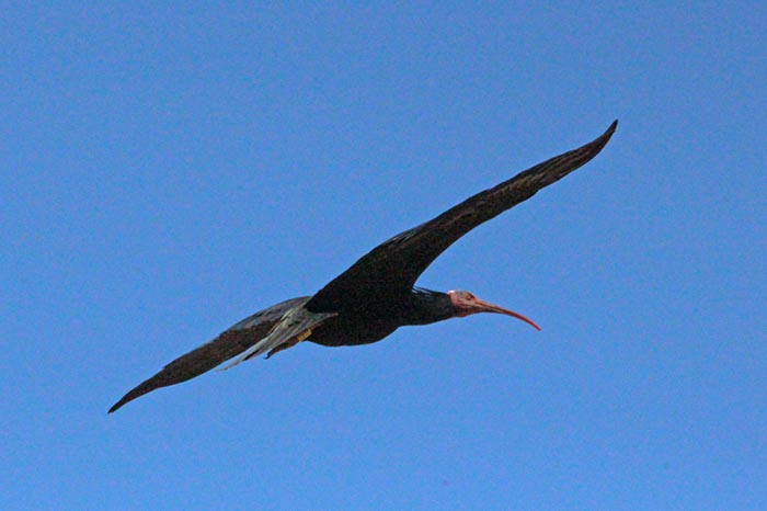 %_tempFileNameTarifa15-Conil%20wandeling-37%