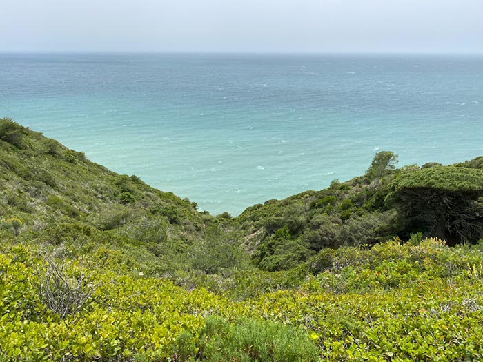 Tarifa04-Los Caños de Meca-16