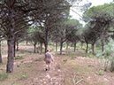 %_tempFileNameTarifa05-Los%20Algarbes-27%
