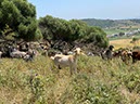 %_tempFileNameTarifa07-Santa%20Lucia-12%