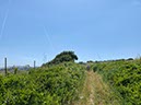 %_tempFileNameTarifa07-Santa%20Lucia-26%