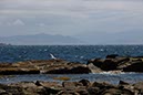 %_tempFileNameTarifa08-Tarifa%20oost-20%