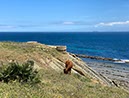 %_tempFileNameTarifa08-Tarifa%20oost-27%