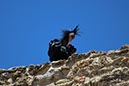 %_tempFileNameTarifa15-Conil%20wandeling-30%