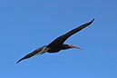 %_tempFileNameTarifa15-Conil%20wandeling-37%