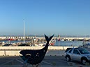 %_tempFileNameTarifa15-Conil%20wandeling-48%