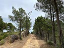 %_tempFileNameTarifa17-Charco%20Redondo-11%