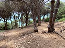 Tarifa04-Los Caños de Meca-14