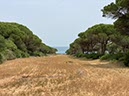 Tarifa04-Los Caños de Meca-34