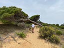Tarifa04-Los Caños de Meca-11