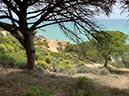 Tarifa04-Los Caños de Meca-13