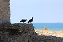 %_tempFileNameTarifa15-Conil%20wandeling-15%