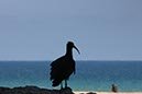 %_tempFileNameTarifa15-Conil%20wandeling-17%