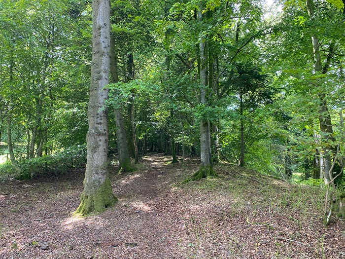 %_tempFileNameUK04-Threave%20walk-030%
