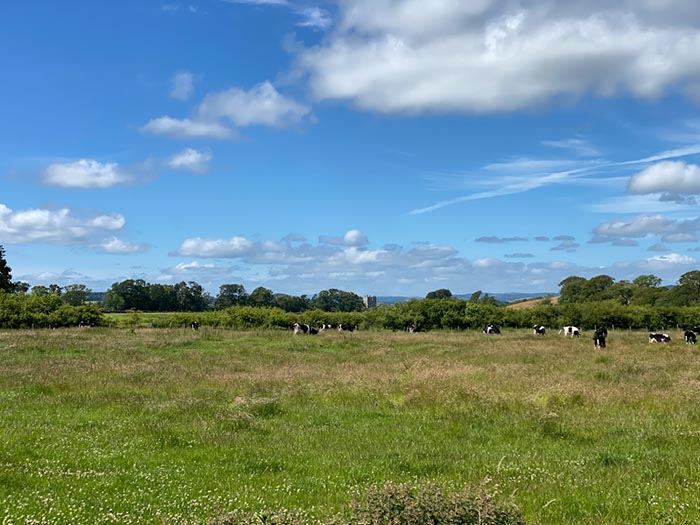 %_tempFileNameUK04-Threave%20walk-053%
