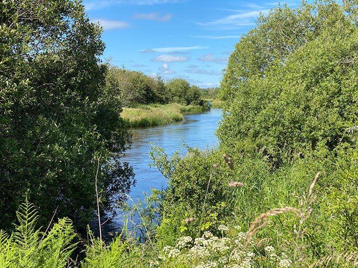 %_tempFileNameUK04-Threave%20walk-062%