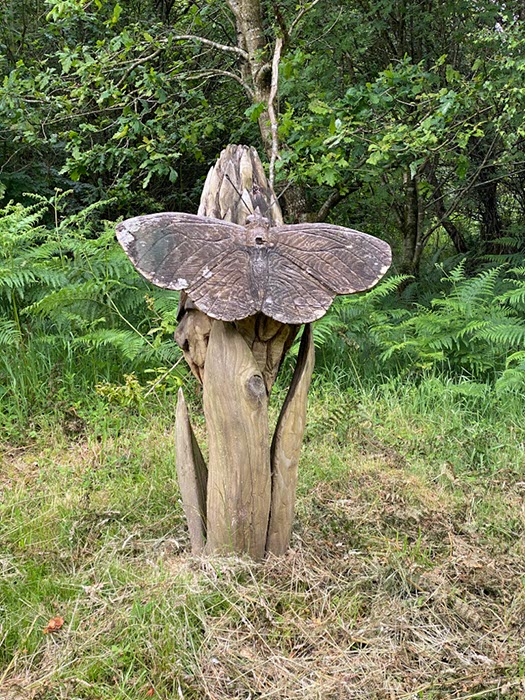 %_tempFileNameUk05-Mabie%20Forest-15%
