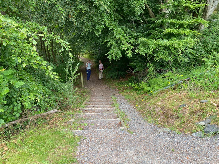 %_tempFileNameUk05-Mabie%20Forest-51%