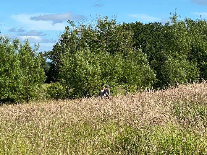 %_tempFileNameUK04-Threave%20walk-078%