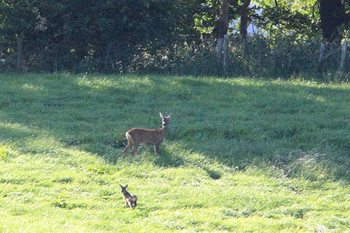 %_tempFileNameUK04-Threave%20walk-117%