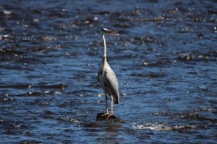 %_tempFileNameUK06-Annan%20River-20%