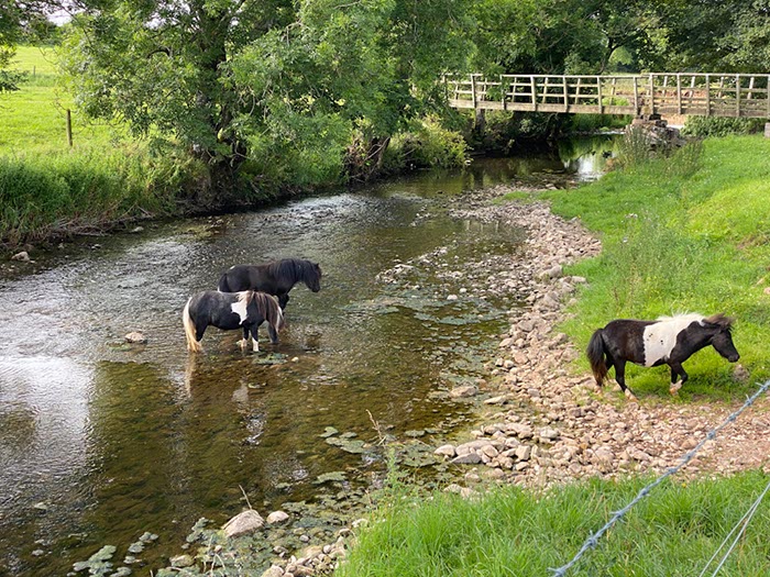 %_tempFileNameUK16%20Appleby-29%